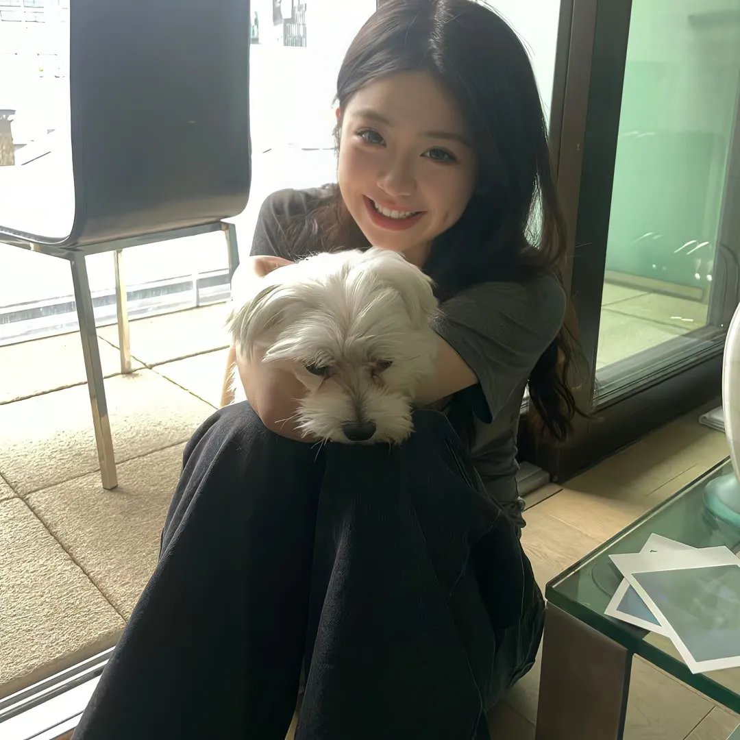 从美国下手2