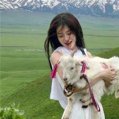 水果篮子第二季