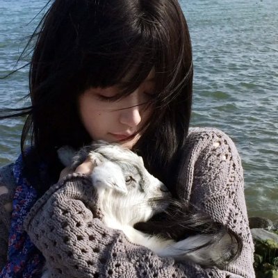 比翼文鸳